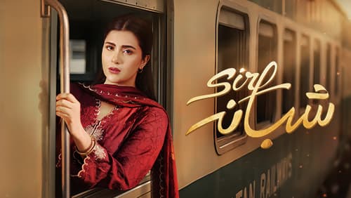 SS528.jpg-2
