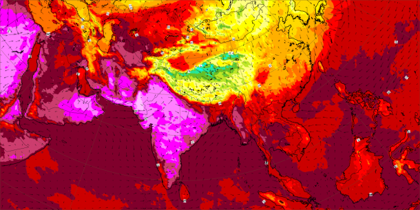 Extreme heatwaves to continue through August, WMO expert says