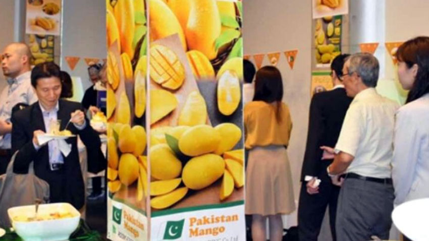 Pakistani mangoes