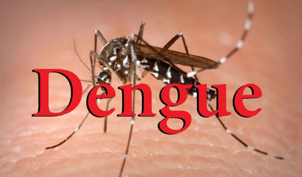 dengue