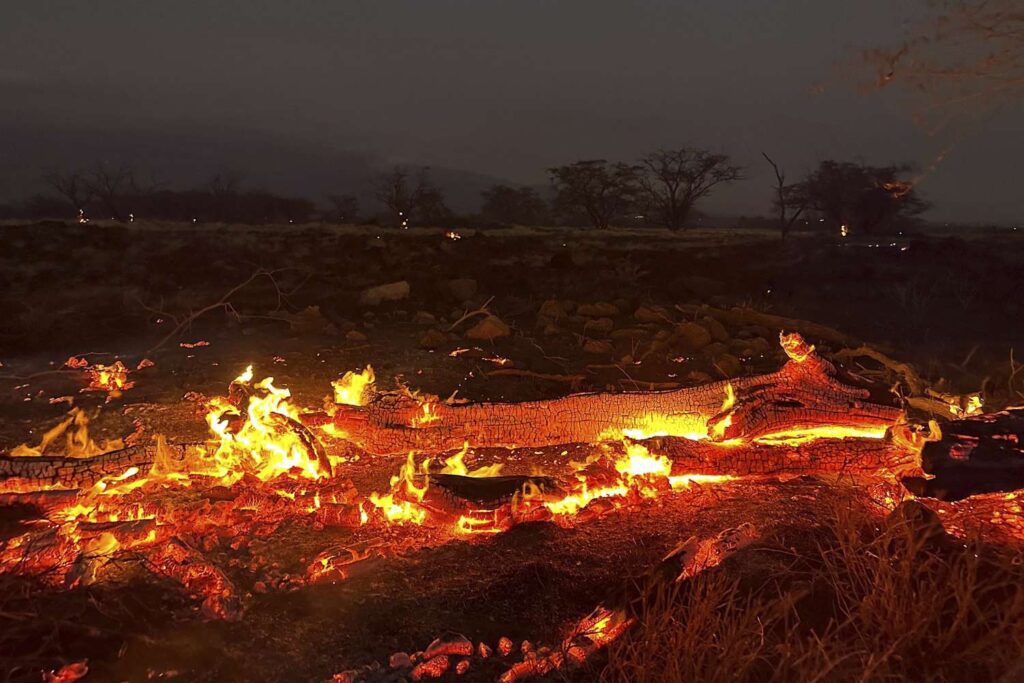 Hawaii wildfires