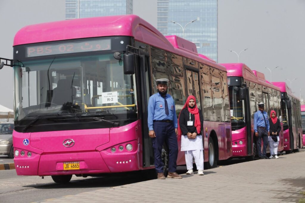 pink buses