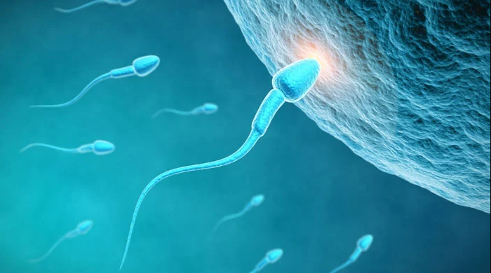 male infertility