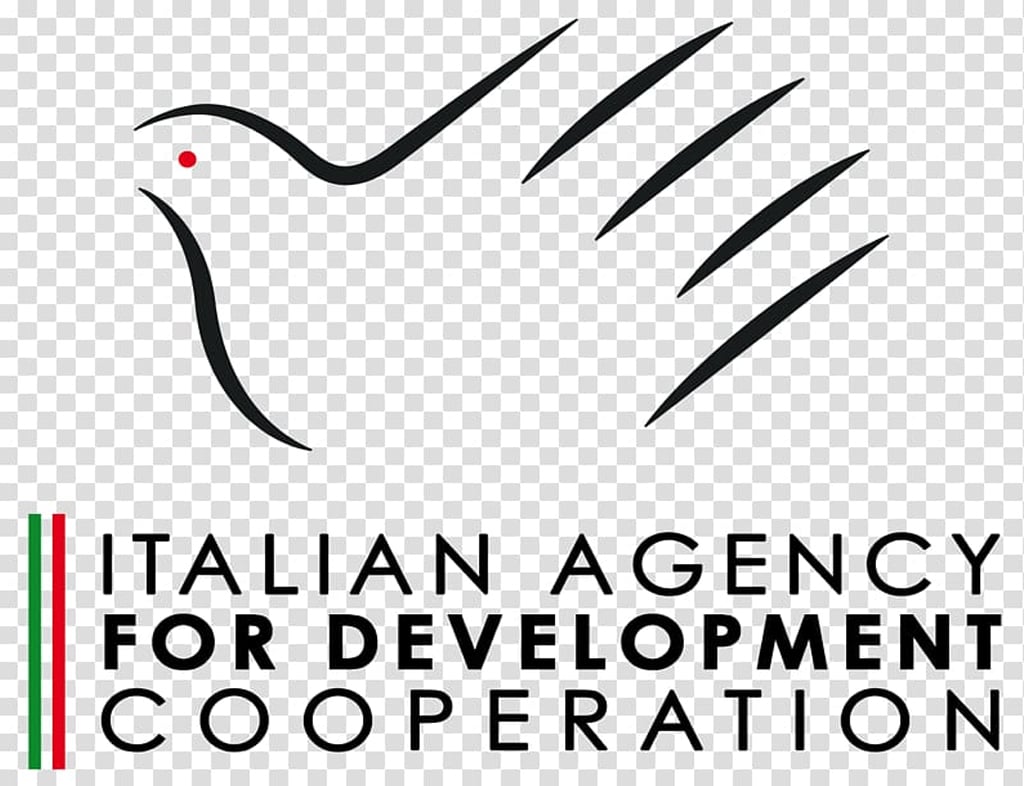 Italian cooperation