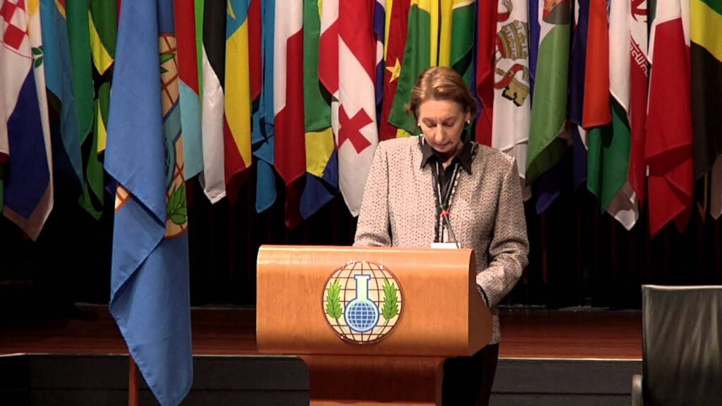 Naseema Baghli OIC UN Kashmir