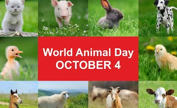 World animal welfare day