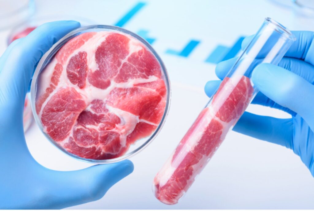 lab-grown meat