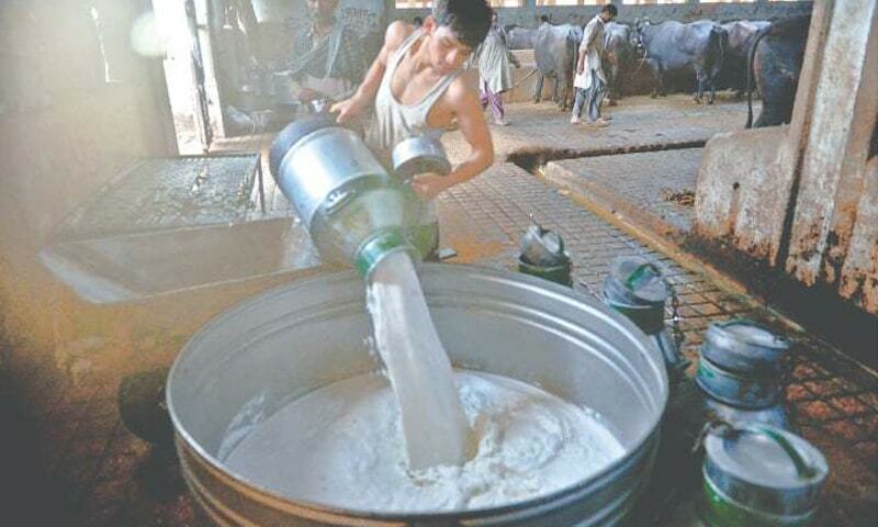Karachi milk price