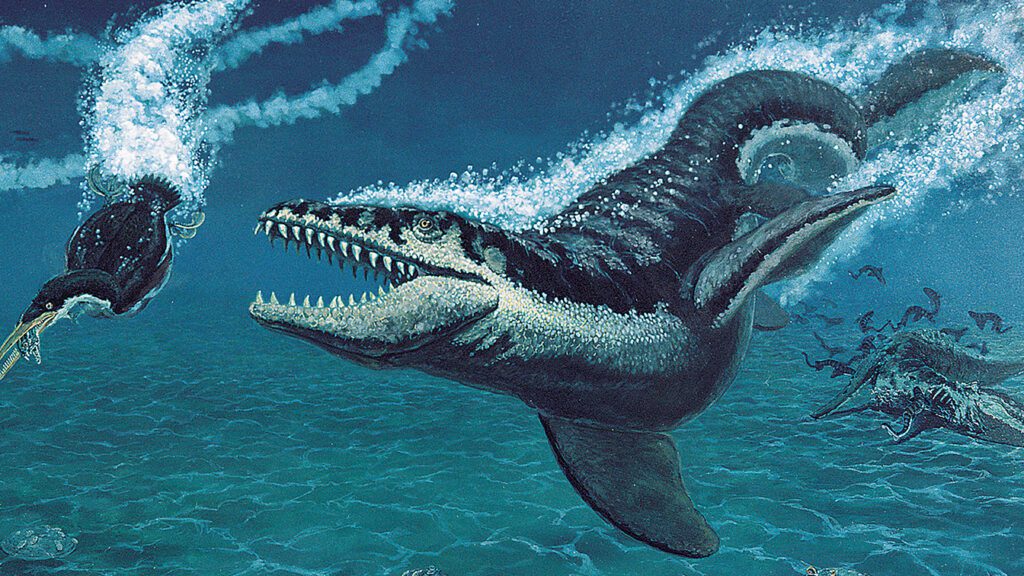 mosasaur