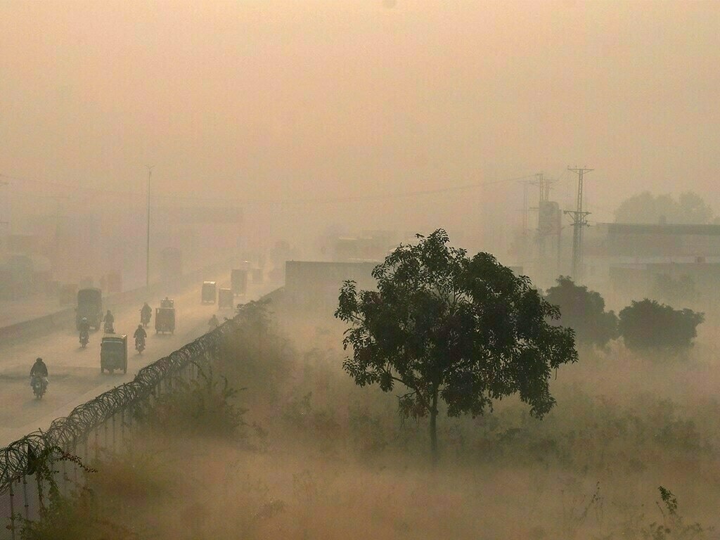 Smog update