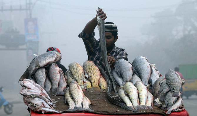 fish prices