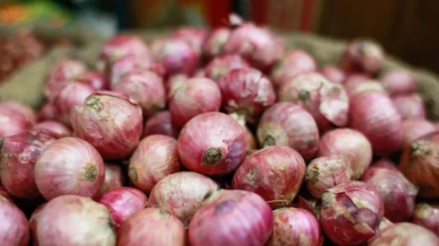 Asia onion