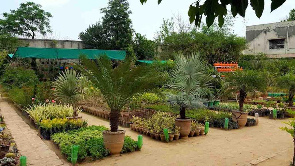 Rawalpindi to spend millions of rupees to upgrade and beautify rural areas in 2024