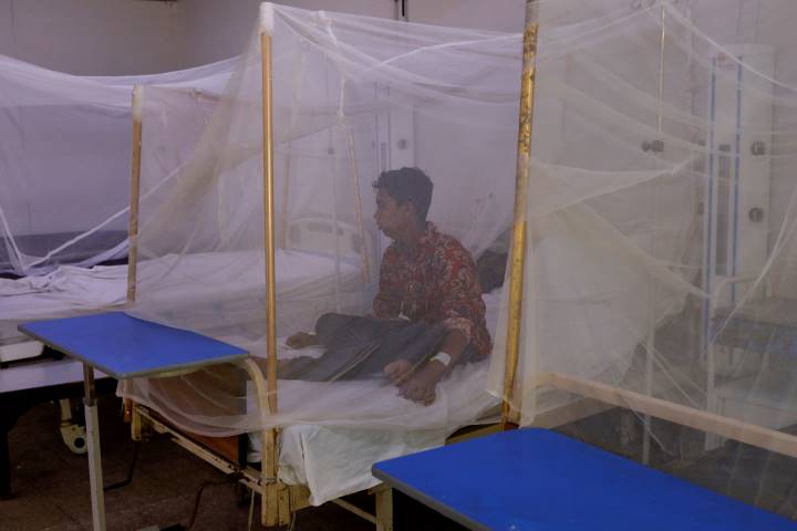 Pakistan malaria cases
