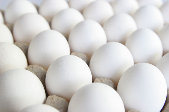 Lahore egg price