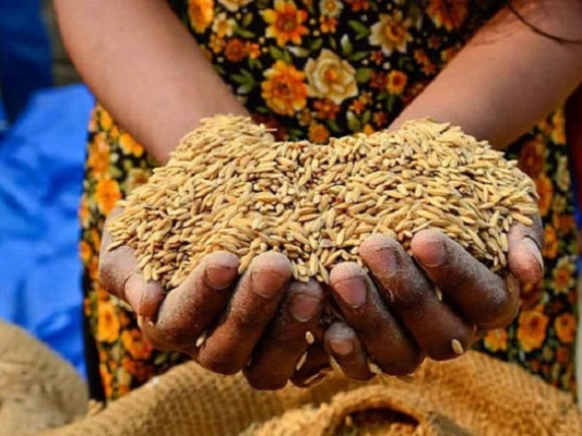 Unusually dry winter threatens food supply - HUM News English