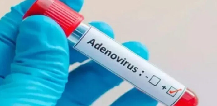 adenovirus