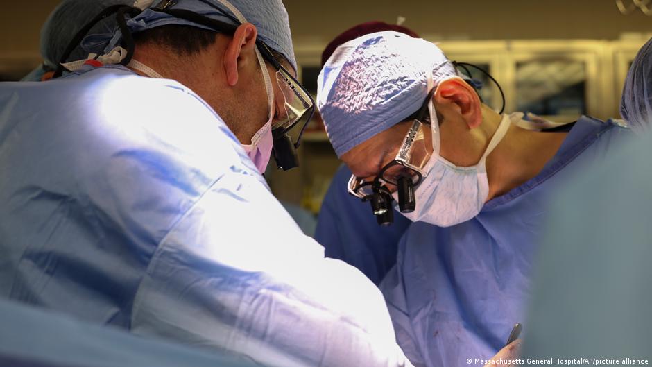 Doctors said harvesting organs from pigs could prove to be a lifeline for thousands of patients on organ-donor waiting lists