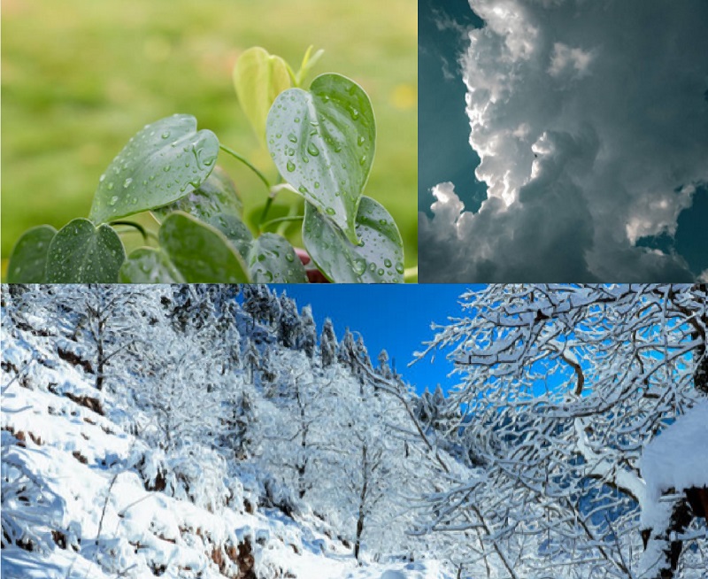 The PMD predicted rainy weather across the northern Pakistan, while Balochistan and Sindh will remain cold and dry.