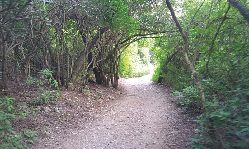 Islamabad hiking rails closed