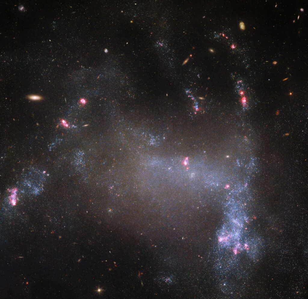 NASA revealed that the Hubble Space Telescope has discovered a new galaxy dubbed the Spider Galaxy.