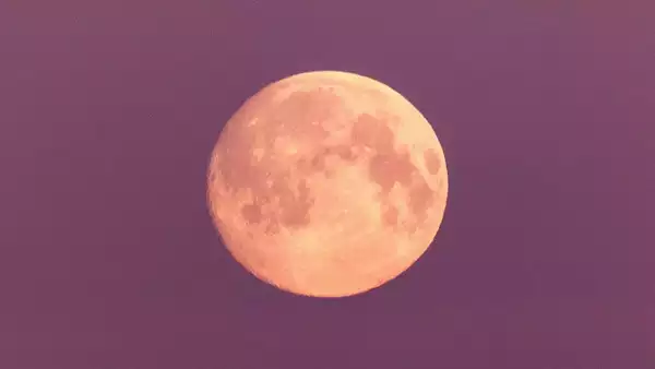 Pink moon