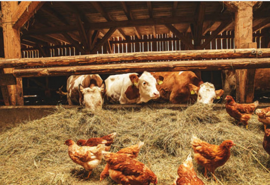 A person has been diagnosed with a heavily pathogenic bird flu, marking the second human case of the virus reported in the United States (US) amidst recent outbreaks in dairy cow populations.