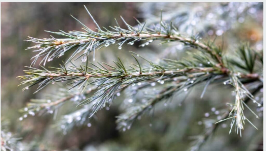 Residents across the country should be on high alert as the Pakistan Meteorological Department (PMD) predicted heavy rains throughout Wednesday, raising the risk of flash floods, urban flooding and landslides across several cities.