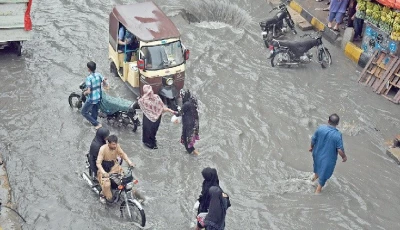 recent rain killings