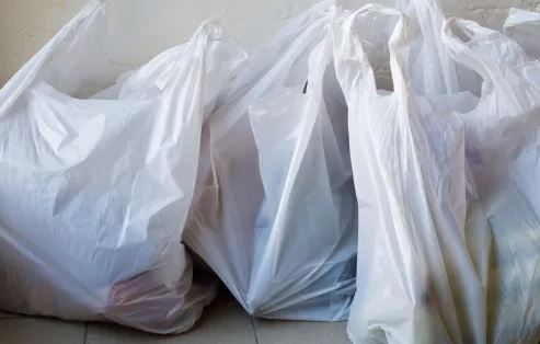 plastic bags punjab