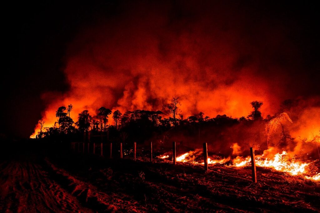Brazil's Amazon rainforest has experienced its largest blazes on record in the first four months of the year, with the environmental workers union on Monday placing partial blame on lower government spending on firefighting.