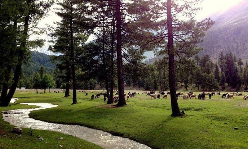 leasing of rest houses,