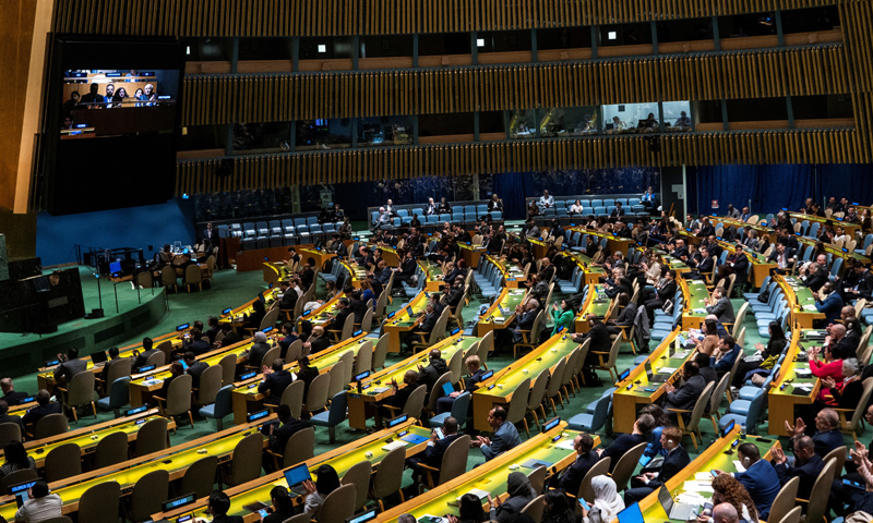 UN General Assembly