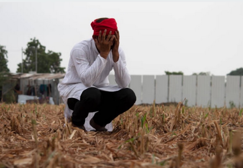 The investigation committee probing the wheat import scam summoned former Caretaker Finance Minister Shamshad Akhtar on Sunday.