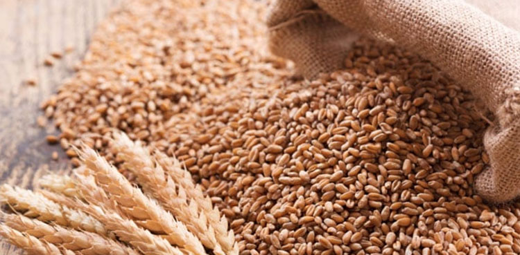 Wheat Scandal