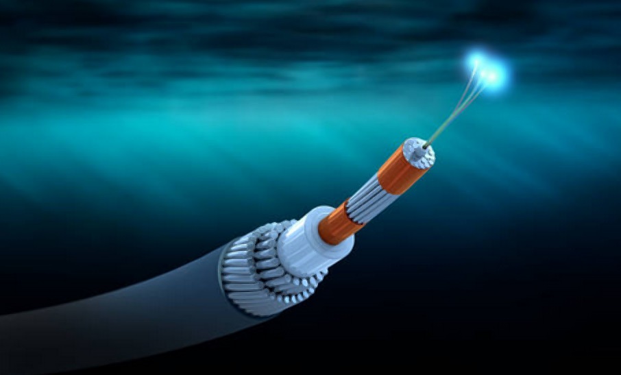A fault in the global submarine cable SMW4 has disrupted internet services in several areas of Pakistan, the Pakistan Telecommunication Authority (PTA) reported in early hours of Tuesday.