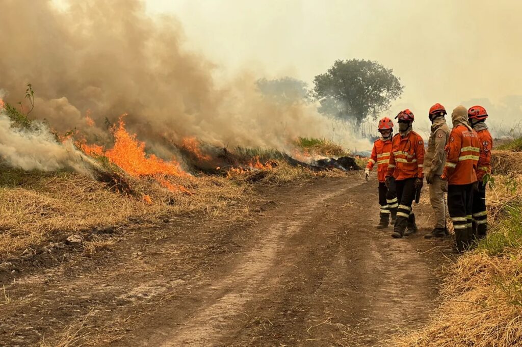Fires in Brazilian Pantanal wetlands have surged nearly tenfold so far this year to the highest levels since 2020, when the biome suffered its worst blazes on record.