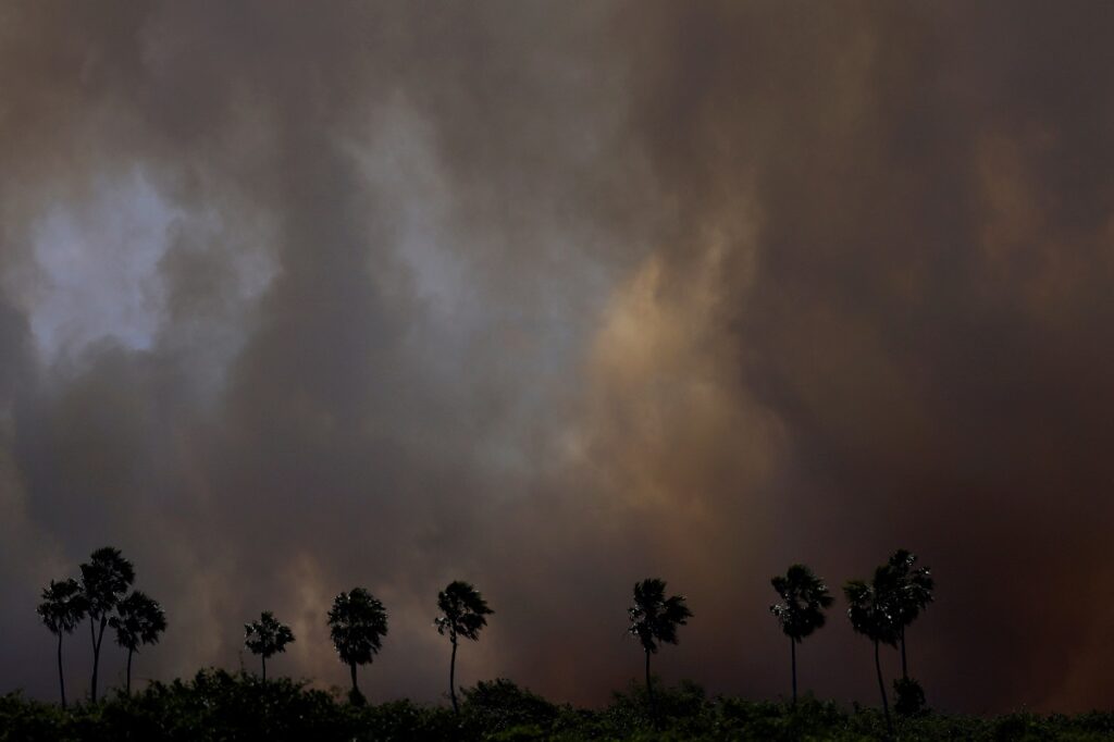 Brazil's wetlands face extreme dryness, with wildfires surging. Pantanal fires have increased tenfold compared to last year.