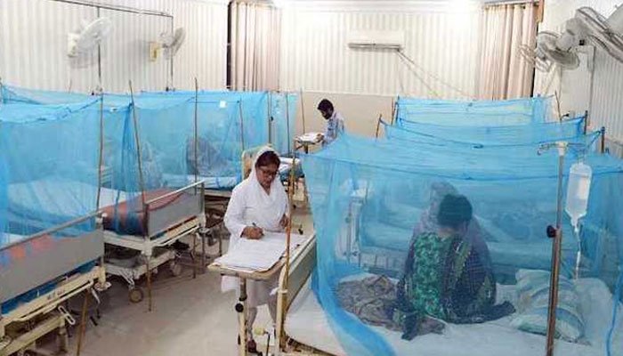 Dengue Pakistan