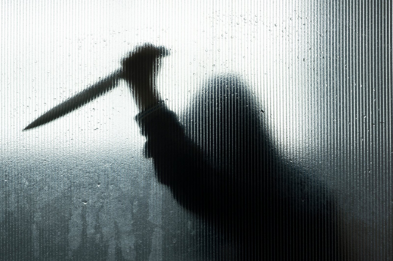 Software engineer kills company’s CEO over non-payment of salary - HUM ...