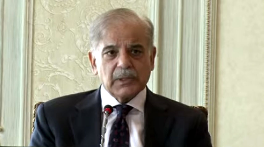 PTI campaign against armed forces not tolerable: PM