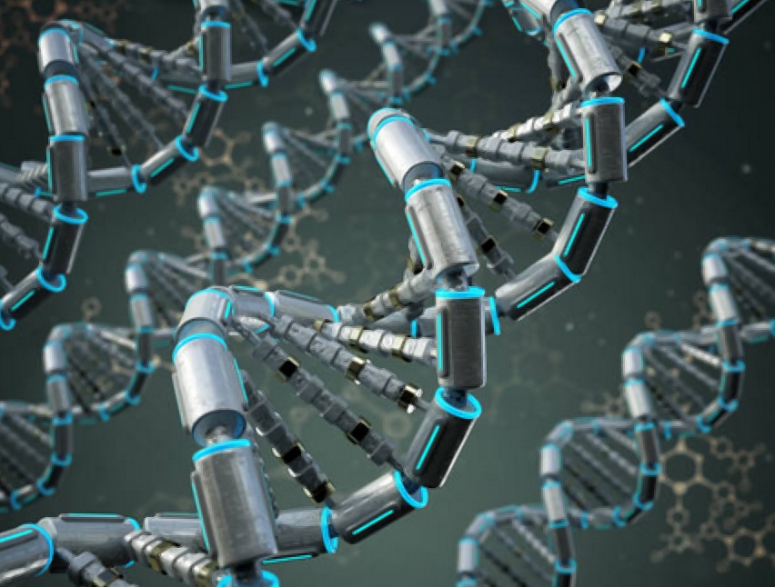 Researchers at Rice University conducted a study exploring how tiny motor-like molecules affect how chromosomes are organised inside human cells, critical to understanding how how human cells work.