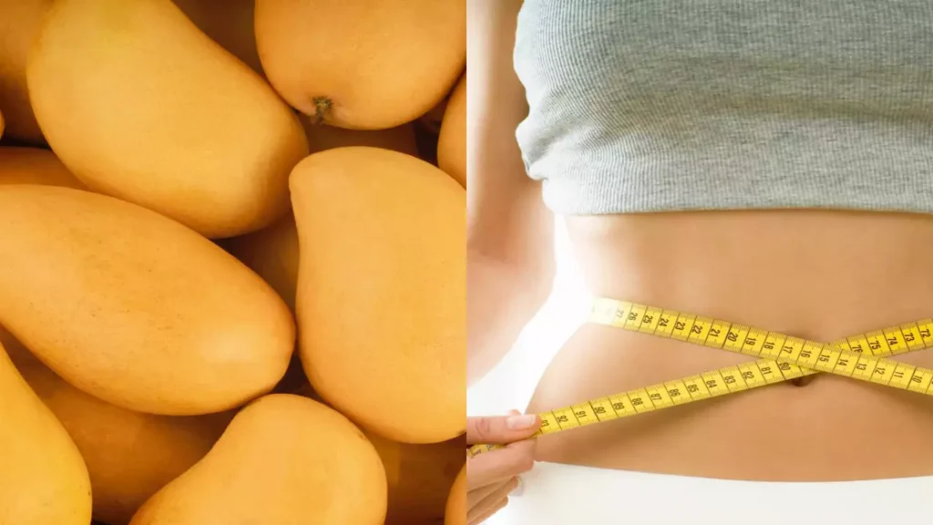 mangoes weight gain