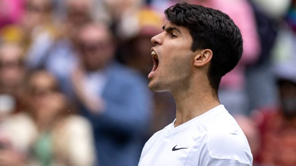 Carlos Alcaraz and Novak Djokovic won their semi-final matches to earn the coveted spots in Wimbledon 2024's final showdown.