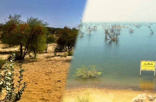 coal fired power plants