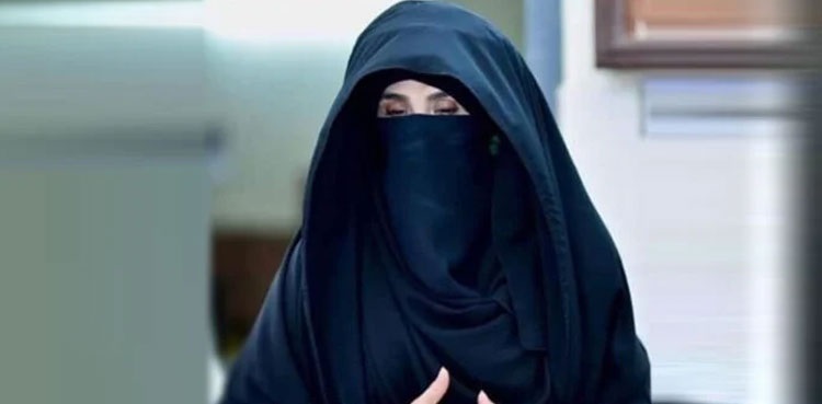 Bushra Bibi protest cases