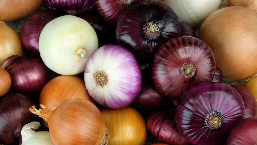 onion prices increase