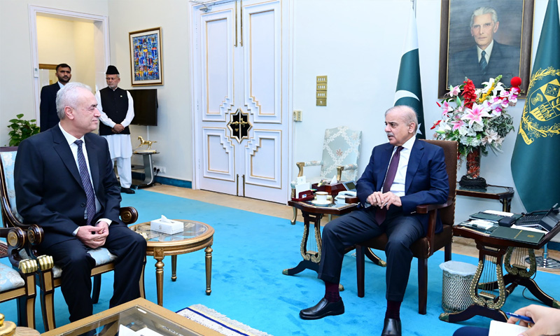 Palestine-Israeli conflict