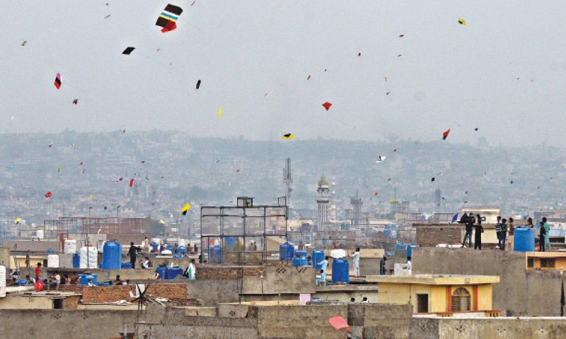 Rawalpindi Kites