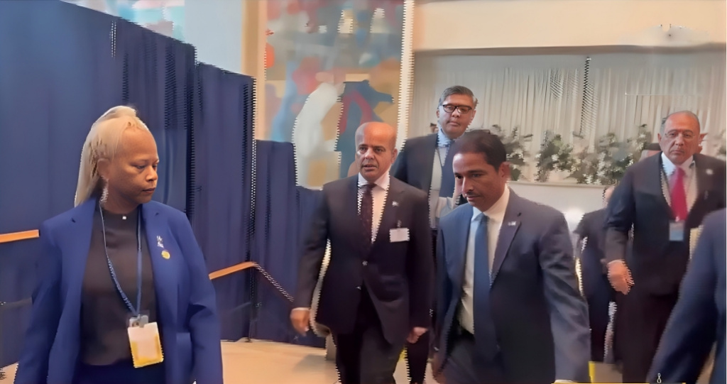 In a speech delivered as a high-level meeting on SDG, Pakistan PM highlighted the country's commitment to addressing education issues.